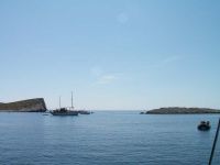 Filename=PICT2890.jpg
Filesize=31KiB
Dimensions=800x600
Date added=Mar 19, 2008 PICT2890.jpg