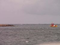 Filename=PICT2688.jpg
Filesize=33KiB
Dimensions=800x600
Date added=Apr 07, 2009 PICT2688.jpg