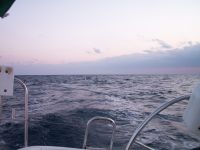 Filename=180-PICT1345.jpg
Filesize=209KiB
Dimensions=1280x960
Date added=Feb 02, 2008 180-PICT1345.jpg