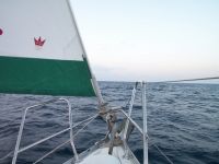 Filename=200-PICT1391.jpg
Filesize=225KiB
Dimensions=1280x960
Date added=Feb 02, 2008 200-PICT1391.jpg